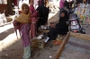 Two girls and a woman selling pigeons at the Luxor Souk EG
