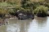 Masaimara, Kenya