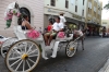 Romantic horse & carriages