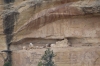 Site 634. Cliff Canyon Overlook at Mesa Verde, CO