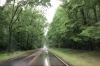 Natchez Trace Parkway in the rain. MS