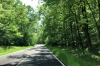 The sun shines on the Natchez Trace Parkway. MS
