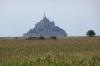 Last view of Mont St Michel from a corn field