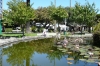 Clive Park, Napier NZ