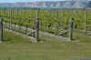 lunch at the Elephant Hill Estate & Winery, Te Awanga near Napier NZ