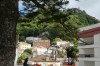 Jardins of the Palácio Nacional de Sintra PT