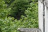 Gargoyle at the Pena Palace in Sintra PT