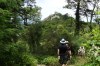 Walking towards our next stop, the 12th Century Moorish Castle from the Pena Palace, Sintra PT