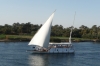 Cruising the Nile EG - Faluka sailing past