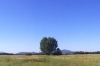 A walk near Tenuta di Papena IT