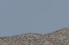 Another bull, closer to Alfajarin ES