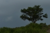 Dark clouds and promising rain over Fort Fisher at the mouth of Cape Fear River, NC