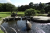 Korakuen Gardens, Okayama, Japan