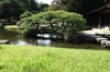 Korakuen Gardens, Okayama, Japan