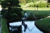 Careful pruning, Korakuen Gardens, Okayama, Japan