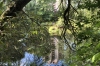 Around the lake in the Ernst-Thälmann Park, Berlin DE