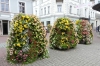 Flower bollards in Pärnu EE