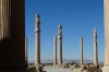 Apadana Palace. 20m columns