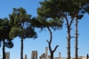 Persepolis
