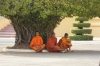 Monks relaxing at the Royal Palace