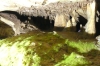 Moss grows under artificial light in the Marble Cave in Gadime XK