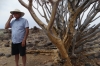 Olaf explains the Quiver Tree, Mesosaurus Fossils, South Namib Desert, Namibia
