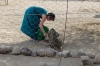 Feeding time for the cheetahs at Quiver Tree Farm, Namibia