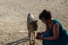 Feeding time for the cheetahs at Quiver Tree Farm, Namibia