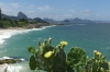 Succulents and Praia do Diabo (Devil’s Beach) at Ponta do Arpoador, Rio de Janeiro BR
