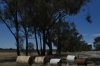 Roadside letterboxes near Lake Moodemere VIC