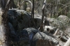Yeddonba Aboriginal Cultural site VIC