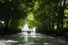 Alameda del Tajo (promenade beside the gorge), Ronda ES