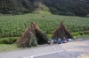 Roadside stalls on the Sun Road tour PE