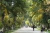 Universtiy Boulevard, Samarkand UZ