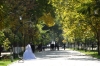 Wedding photos on the University Boulevard, Samarkand UZ