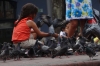 Pigeons in Plaza de la Cultura