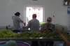 Making cactus jam at the Jam factory in Santa Rosa de Lima near Guanajuato