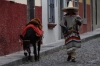 Man and donkey, Calle Diez de Sollano, San Miguel de Allende