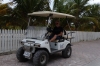Bruce & the cart