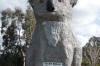 Giant Koala at Dadswells Bridge on the Great Western Highway