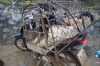 Bac Ha Sunday market, Sapa VN