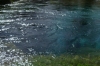 Blue Eye (Syri i Kaltër) natural spring AL