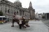 The Bull of Wall Street (no bear), The Bund, Shanghai CN
