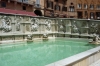 Fonte Gaia in Piazza del Campo, Sienna, Tuscany IT