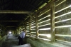 The covered walkway on School Street, Sighisoara RO