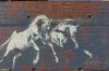 Horse Mural by Kaff-eine, Beulah VIC AU