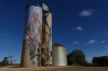 Silo Art by Fintan Magee at Patchewollock VIC AU