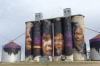 Pigeons and Silo Art by Adnate at Sheep Hills, VIC AU