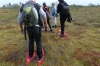 First steps, bog walking. Wilderness Trip in Soomaa National Park EE