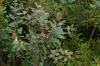 Wilderness Trip in Soomaa National Park EE